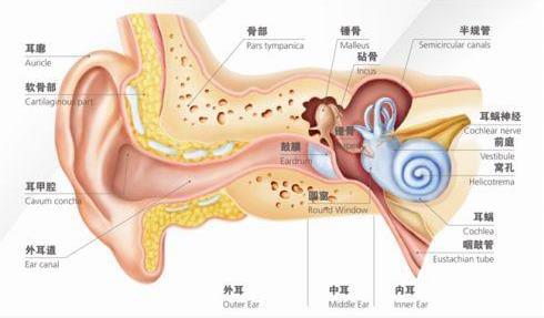 刺啦！聽(tīng)到了粉筆劃過(guò)黑板的聲音 為什么會(huì)讓你抓狂？