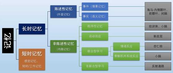 為什么你不記得嬰幼兒時期發(fā)生的事情？記憶會一直保留到離開人世嗎