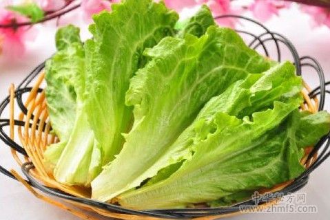 生吃生菜的好處和壞處