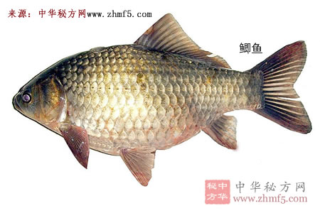 鯽魚(yú)，四類人要少吃