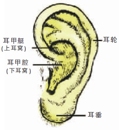 看耳識病