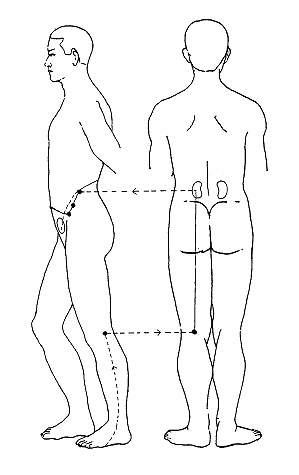 腎氣足，百病除