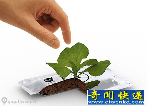 空間站里的菜園子 主要以營養(yǎng)為主