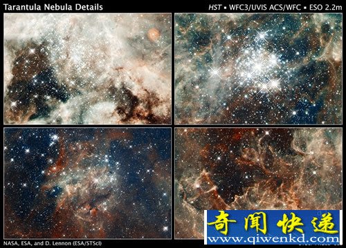 哈勃捕捉到蜘蛛星云中心“星爆” 數(shù)百萬個年輕恒星組成