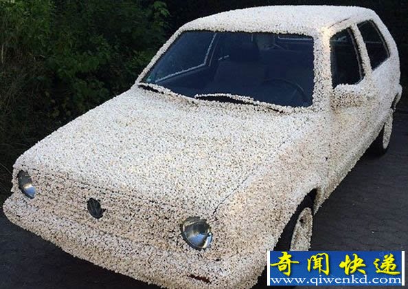 [圖文]大眾汽車全身覆蓋爆米花