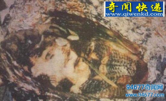 揭秘臺灣人面魚真實面目，人面魚竟如此恐怖