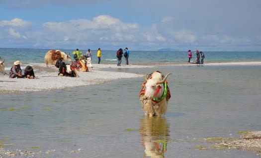 去西藏旅游 高原反應(yīng)頭疼的應(yīng)對方法