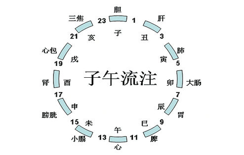 只要這些經(jīng)絡(luò)暢通，想病都不可能 - 緣水禪心 - 