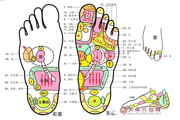 足反射療法歌訣