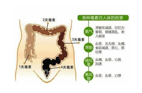 便秘的癥狀(氣秘型便秘的癥狀)