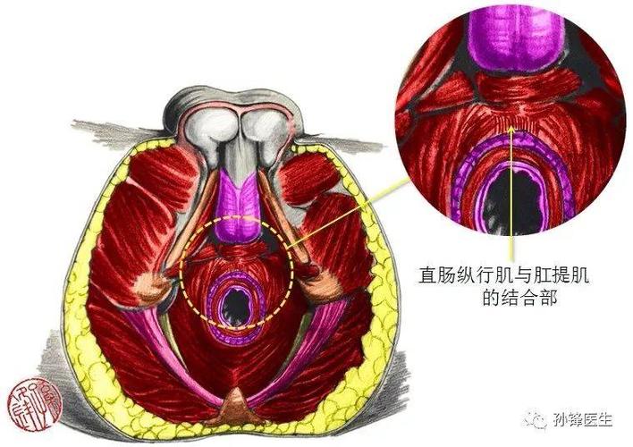 女性私處的秘密是什么？八個女人陰道的秘密