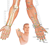 人體全身穴位分布圖（超清晰彩圖版） 人體穴位圖解