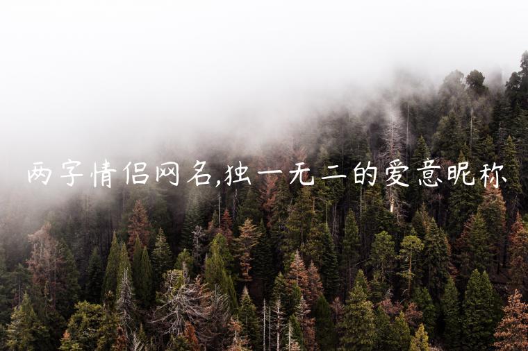 兩字情侶網(wǎng)名,獨一無二的愛意昵稱