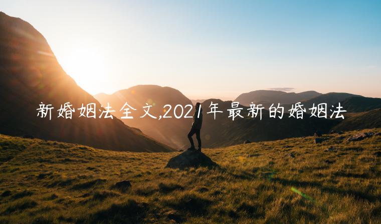 新婚姻法全文,2021年最新的婚姻法