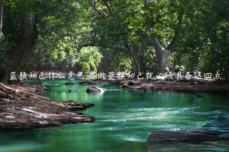 藍顏知己什么意思,要做藍顏知己就必須具備這四點