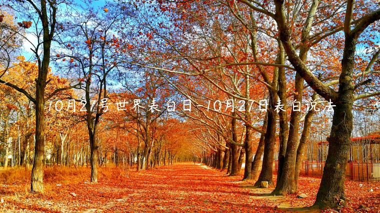 10月27號世界表白日-10月27日表白說法