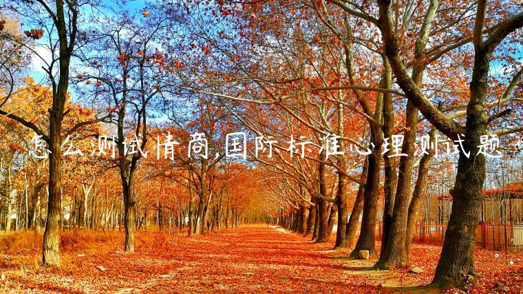 怎么測(cè)試情商,國(guó)際標(biāo)準(zhǔn)心理測(cè)試題