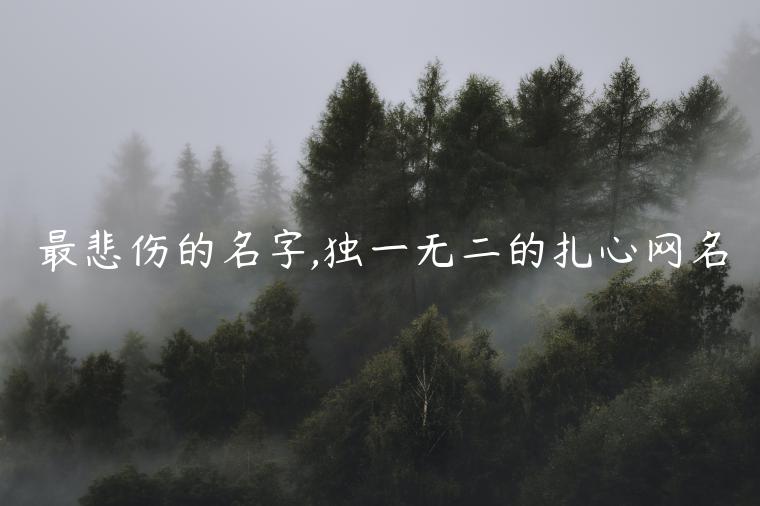 最悲傷的名字,獨(dú)一無(wú)二的扎心網(wǎng)名