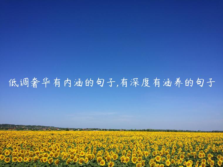 低調(diào)奢華有內(nèi)涵的句子,有深度有涵養(yǎng)的句子