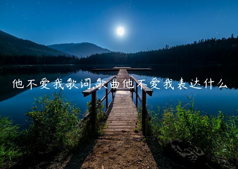 他不愛(ài)我歌詞,歌曲他不愛(ài)我表達(dá)什么