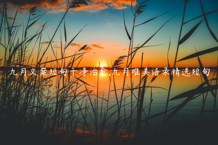 九月文案短句干凈治愈,九月唯美語(yǔ)錄精選短句