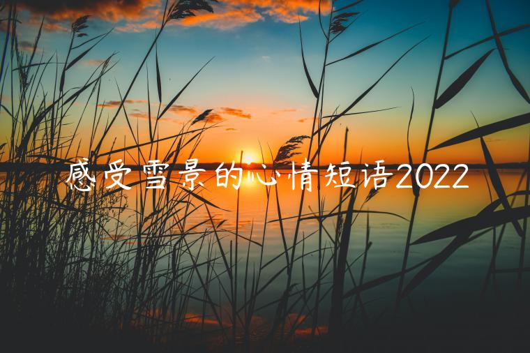 感受雪景的心情短語(yǔ)2022