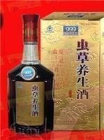 三九蟲(chóng)草養(yǎng)生酒