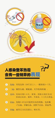 登革熱的最初癥狀圖片登革熱是啥?。坑卸鄧乐? title=