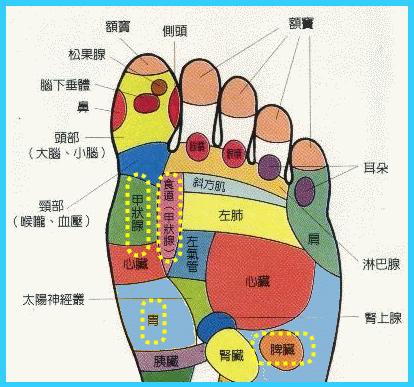 按摩腳底穴位反射區(qū)療效好不好？