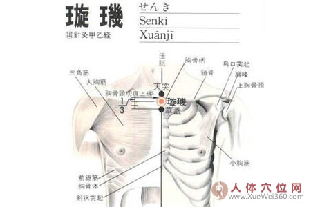 璇璣穴的準(zhǔn)確位置圖