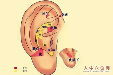 我用耳郭按摩加耳尖放血法治療高血壓收效顯著