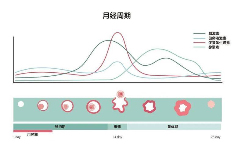 女性的性欲和年齡有關(guān)嗎？不同年齡段女性的性欲