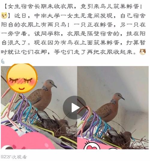 為什么女生喜歡吃男生的小鳥？