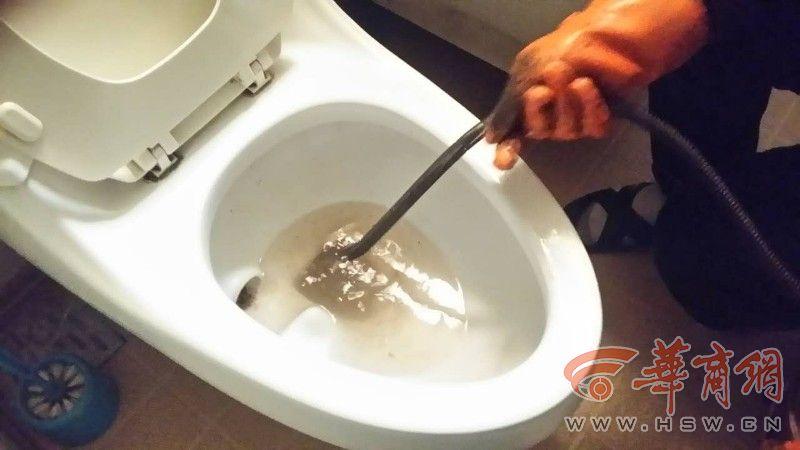 給你下水好多下水道