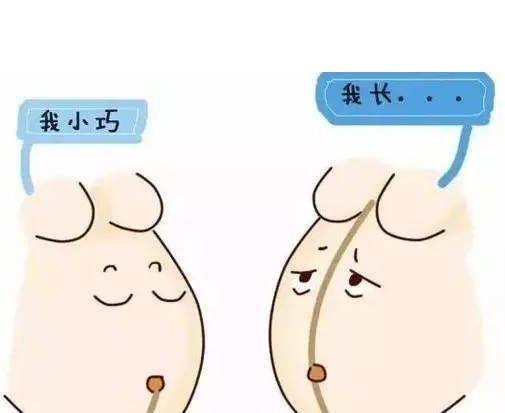 你猜我的肚子有沒有副作用(你猜我肚子里有什么)