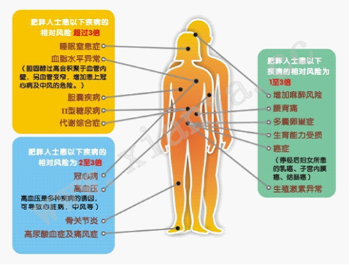 纖雅減肥膠囊官網(wǎng)_纖雅減肥訓(xùn)練營