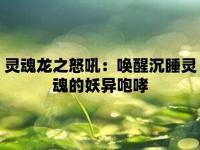 大苗王：神奇的健康守護(hù)者