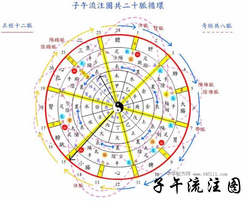 子午流注圖-共二十脈循環(huán)【養(yǎng)生工具】一個非常實用的八卦 時辰 經(jīng)絡(luò)時鐘