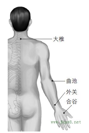 大椎、曲池、合谷、外關(guān)