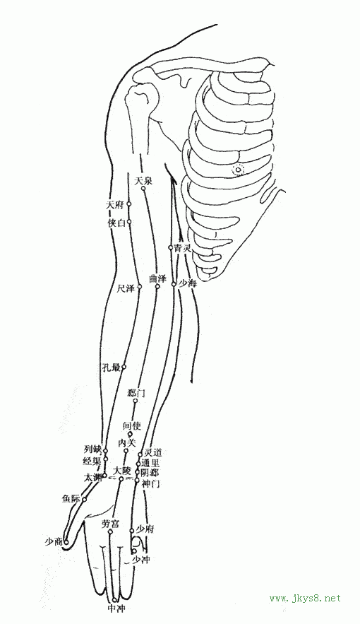 上肢內(nèi)側(cè)穴位圖