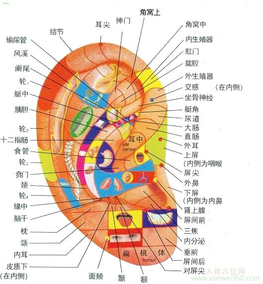 眼穴