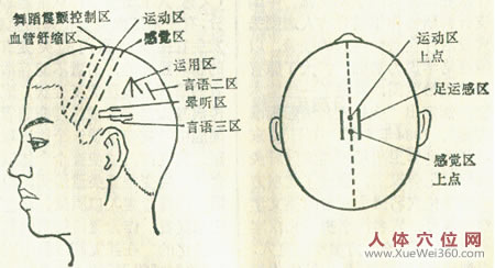 中風的推拿治療技術(shù)