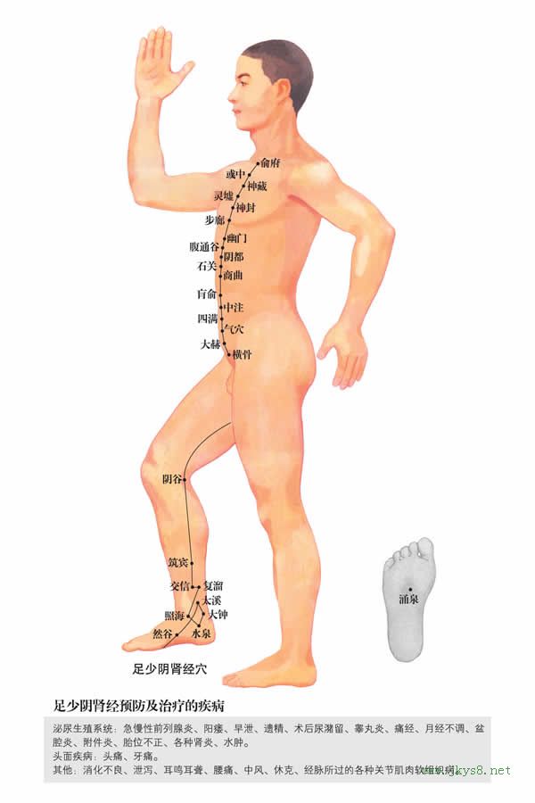 俞府穴：腎經(jīng)(圖文)