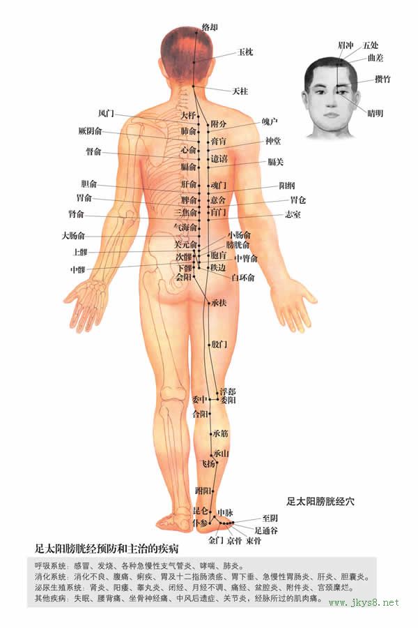 五處穴：膀胱經(jīng)(圖文)