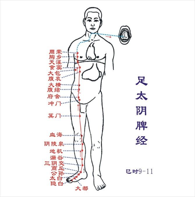 治療下痢的穴位及指壓法