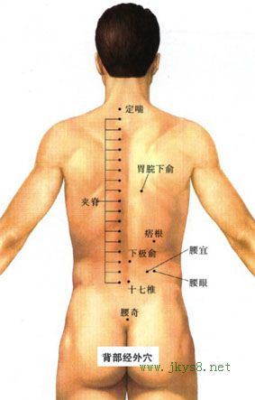 十七椎穴位位置圖-人體穴位查詢