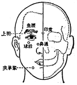 夾承漿穴位位置圖-人體穴位查詢