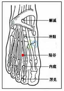 陷谷穴：胃經(jīng)(圖文)