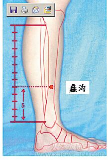 蠡溝穴