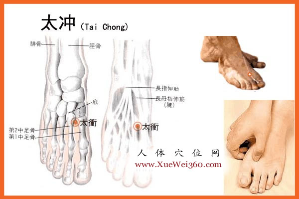 太沖穴位位置圖